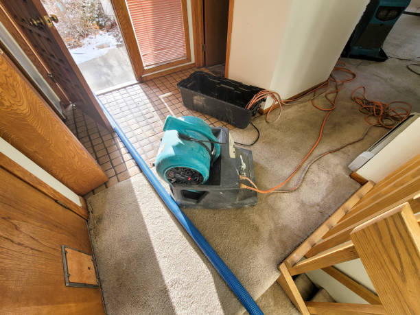 Water damage restoration insurance claims in Cahokia, IL