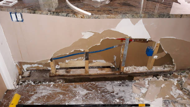 Best Carpet water damage restoration  in Cahokia, IL