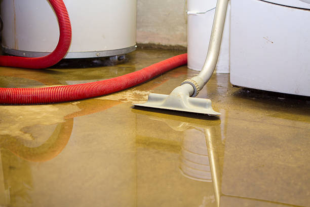  Cahokia, IL Water damage restoration Pros