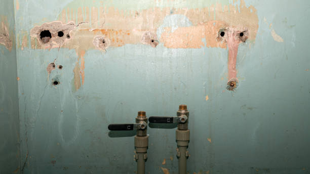 Best 24-hour water damage restoration  in Cahokia, IL