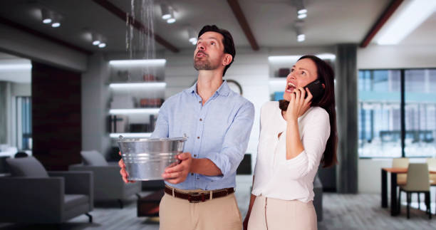 Best Emergency water damage restoration  in Cahokia, IL